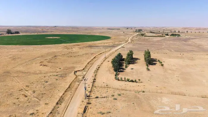 مزرعة للبيع بحائل الهيلا 22