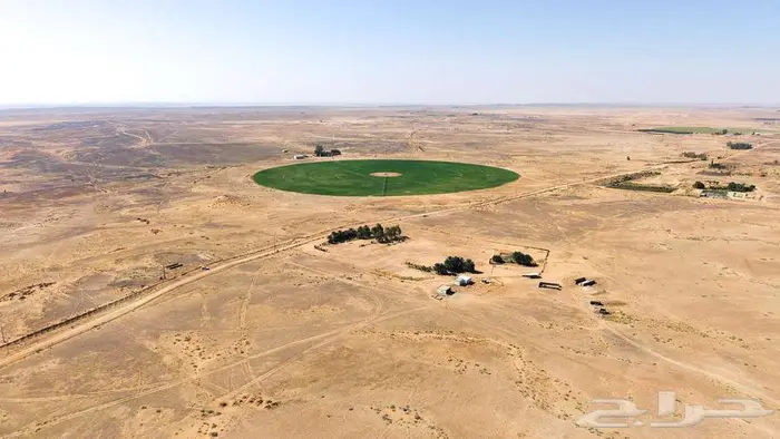 مزرعة للبيع بحائل الهيلا 16