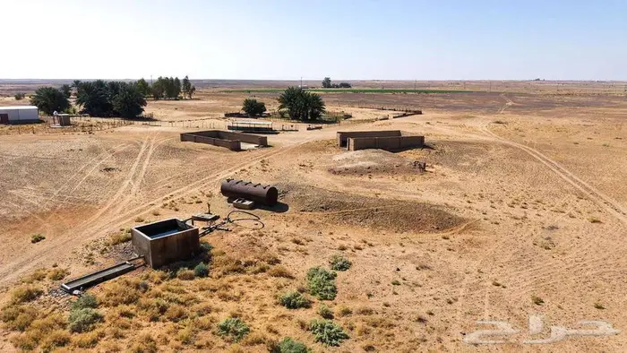 مزرعة للبيع بحائل الهيلا 13