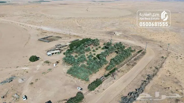 مزرعة للبيع 2