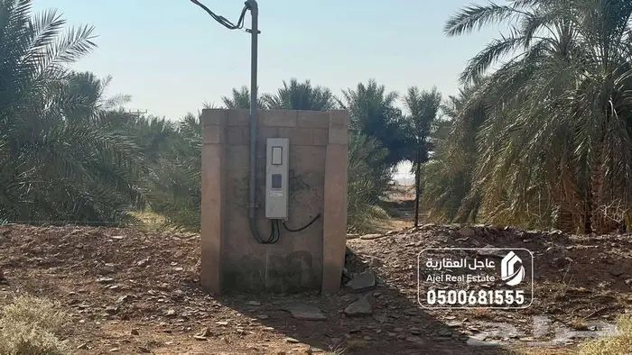 مزرعة للبيع 13