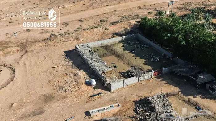 مزرعة للبيع 14