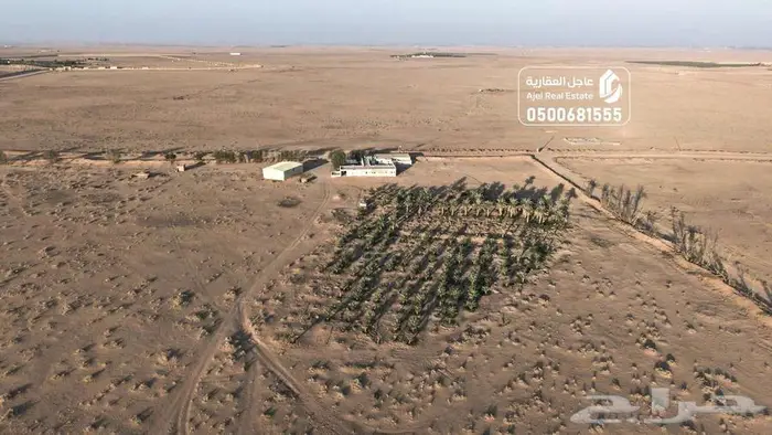 مزرعة للبيع 3