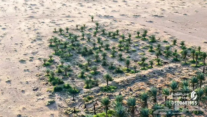 مزرعة للبيع 1