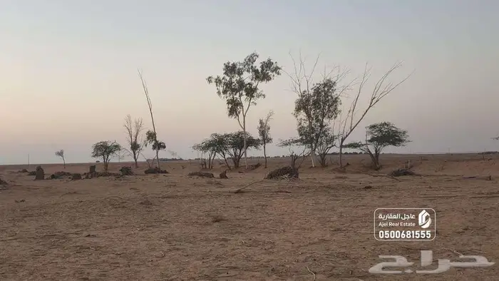 مزرعة للبيع بالقصيم 1