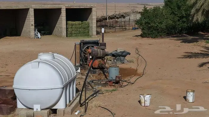 مزرعة للبيع 17