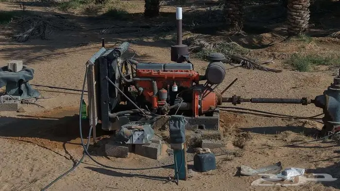 مزرعة للبيع 15