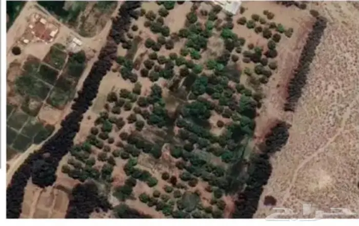 مزرعة واستراحة للبيع من المالك مباشرة جازان بيش 2