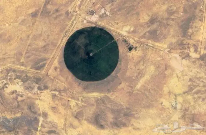 مزرعة للبيع 4