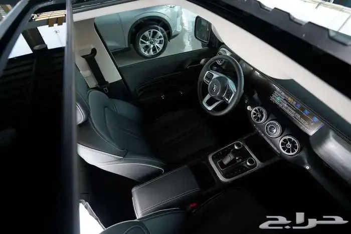 تانك 300 فل كامل 25 حرررق اسعار رمادي 7