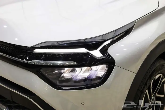 كارينز نص فل 2025 3