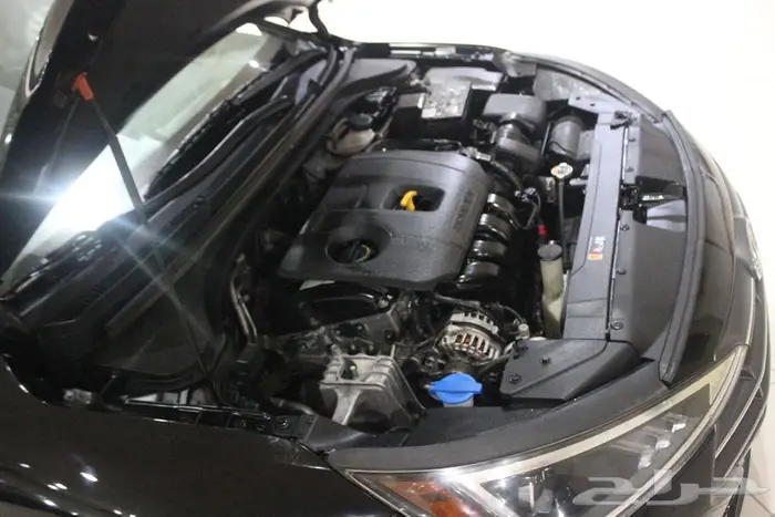 النتراء 2020 اسود بصمه بطاقة جمركية فل كامل 20