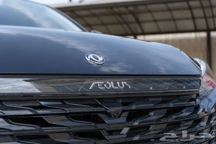 دونج فينج _ شاين _ موديل _ 2025 _ تمويل وكاش 29