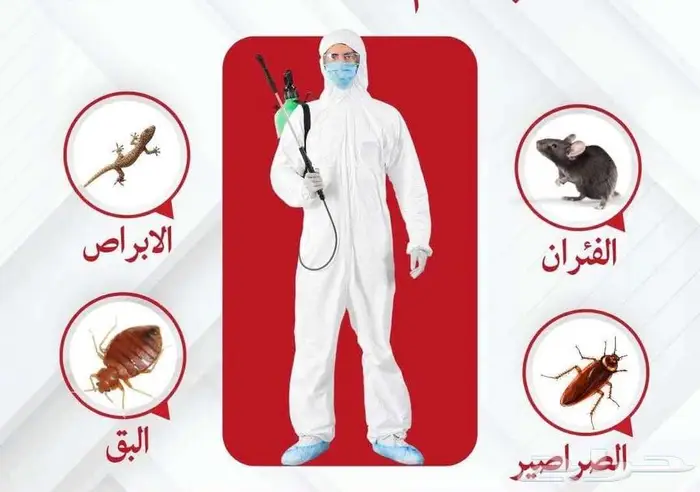 رش حشرات مكافحة الصراصير والبق بالمدينة المنورة 1