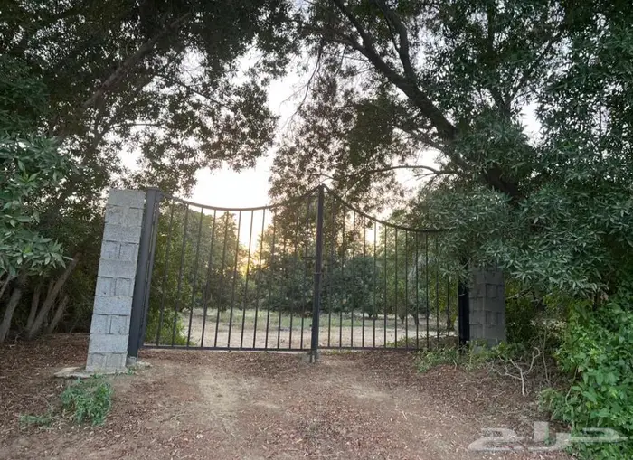 مزرعة واستراحة للبيع من المالك مباشرة جازان بيش 9