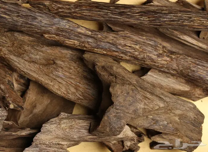 موروكي حي. درجة عاليه 0