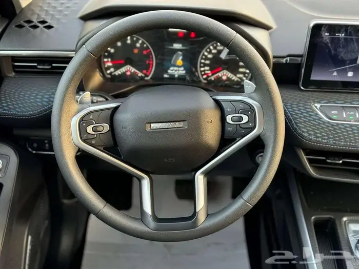 هافال جوليان استاندر موديل 2025 3