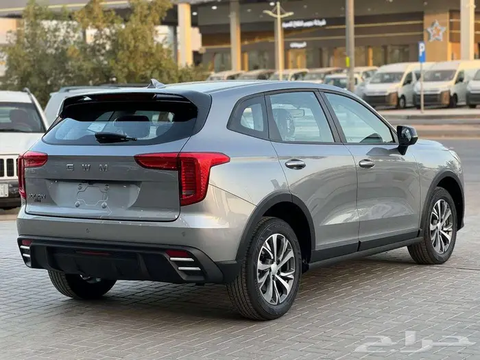 هافال جوليان استاندر موديل 2025 12