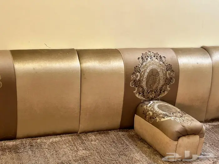 جلسة ارضيه 0