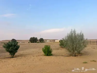 مزرعة للبيع بحائل الهيلا index