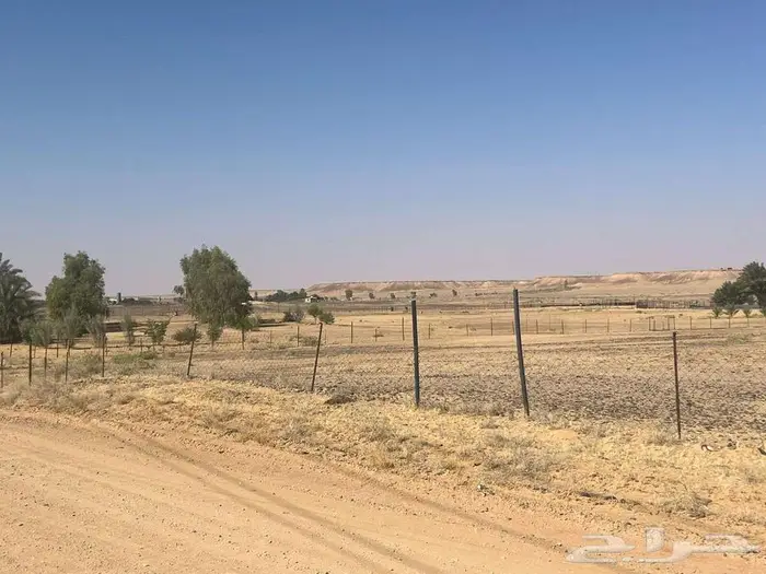 مزرعة للبيع بحائل الهيلا 15