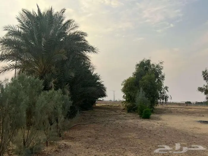 مزرعة للبيع بحائل الهيلا 10