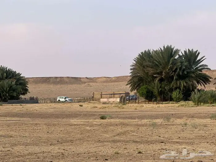 مزرعة للبيع بحائل الهيلا 20