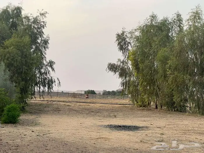 مزرعة للبيع بحائل الهيلا 9