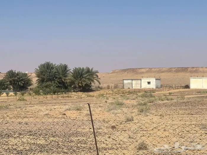 مزرعة للبيع بحائل الهيلا 19