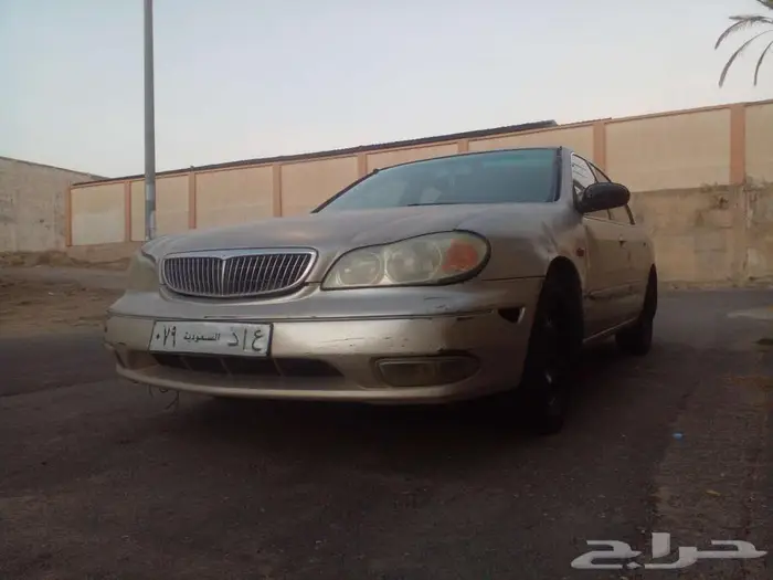 مكسيما للبيع 0