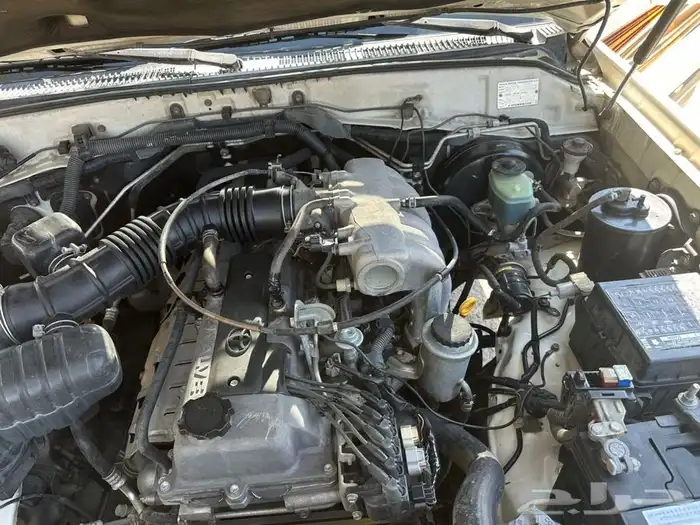 جكسار 99 دفلك 31