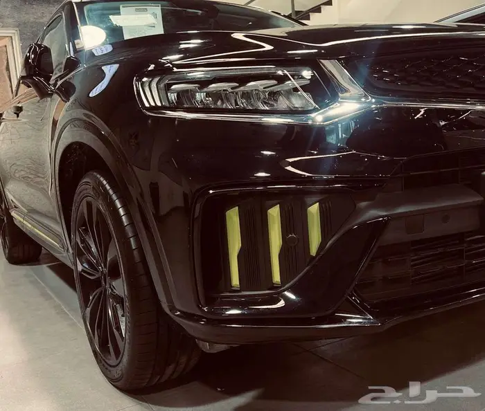 جيلي الوعلان 0