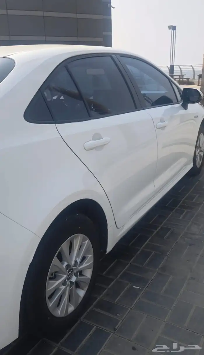 كوريلا هايبرد 2023 2