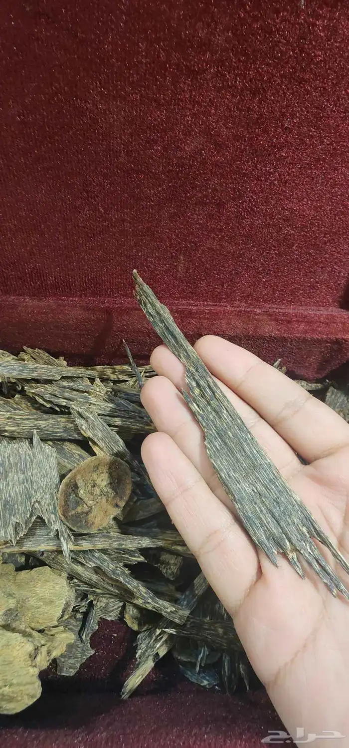 كلمنتان بونتيانك دبل تربل سوبر 4