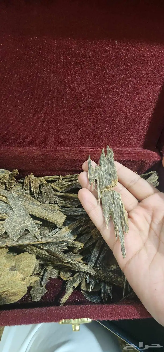 كلمنتان بونتيانك دبل تربل سوبر 2