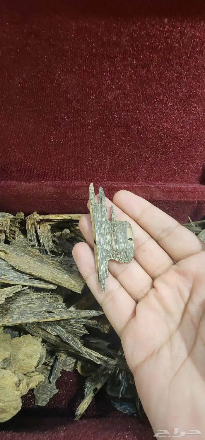 كلمنتان بونتيانك دبل تربل سوبر 1