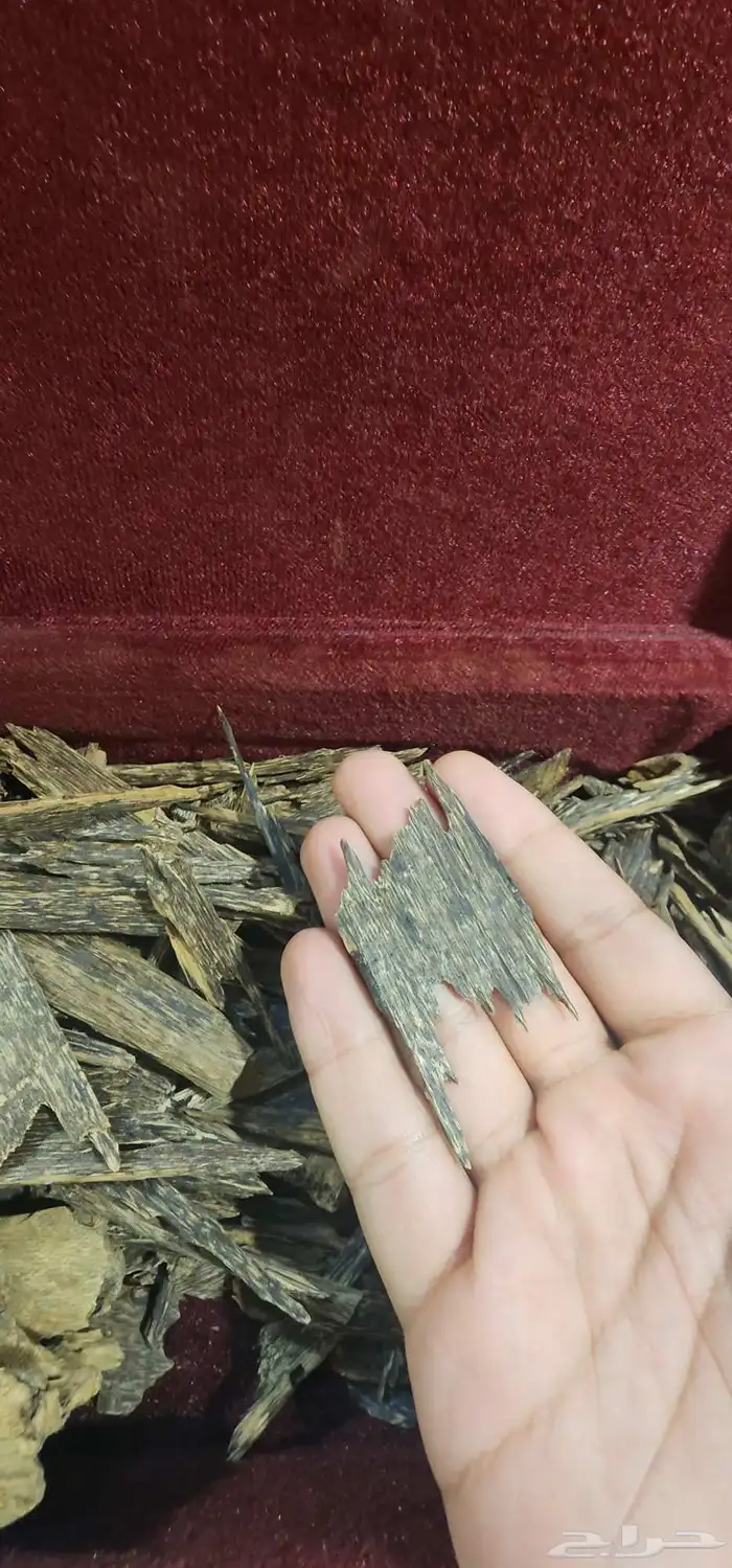 كلمنتان بونتيانك دبل تربل سوبر 6