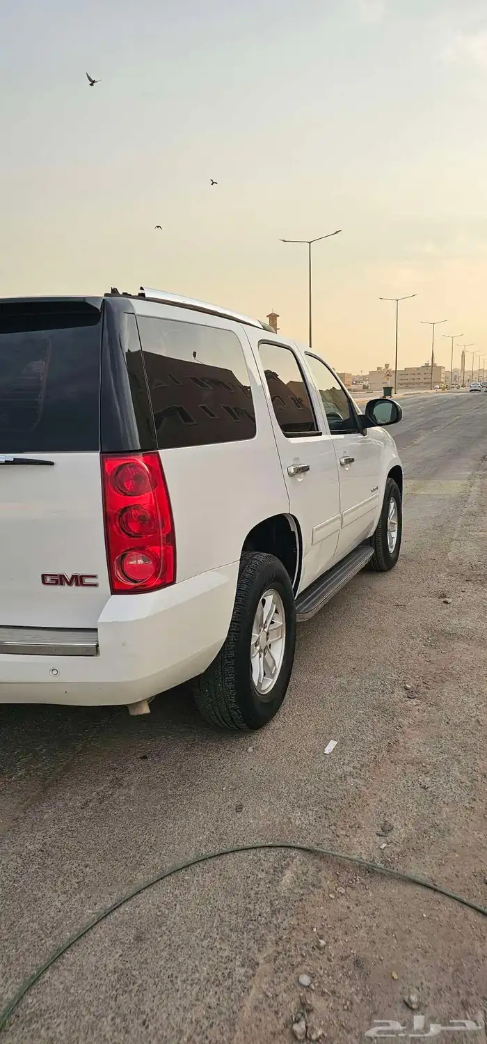 جمس يوكن قصير نظيف 5