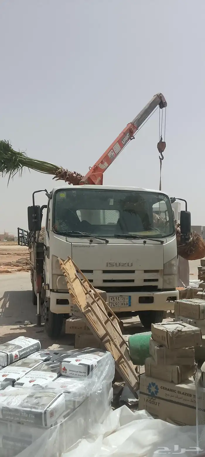 لبيع نخيل وشنطني 5