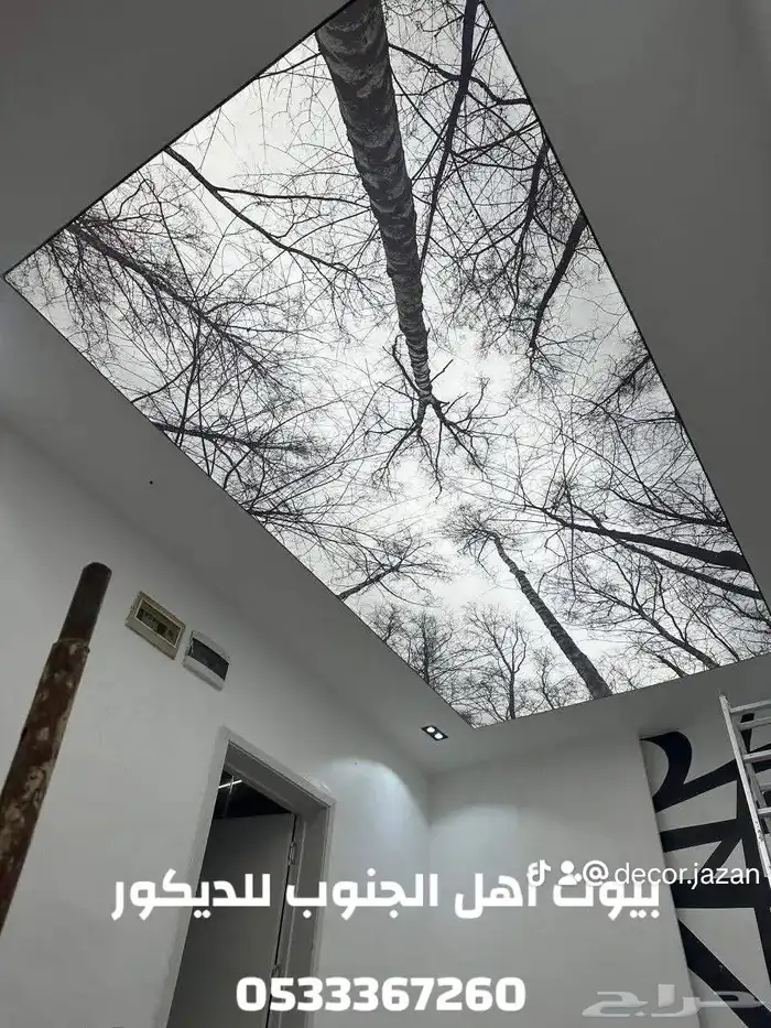اسقف بتصاميم خيال 13