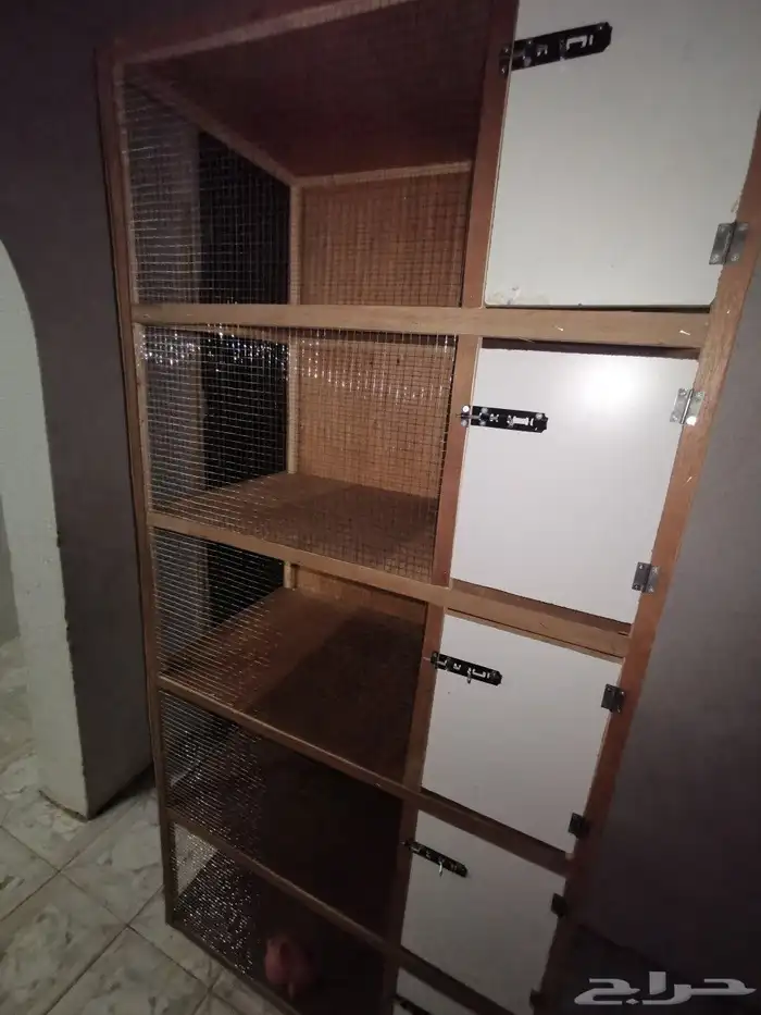 محكر. محكاكر. بطارية صوص. دجاة. حمام. بط. صوص. دجاج رومي 5