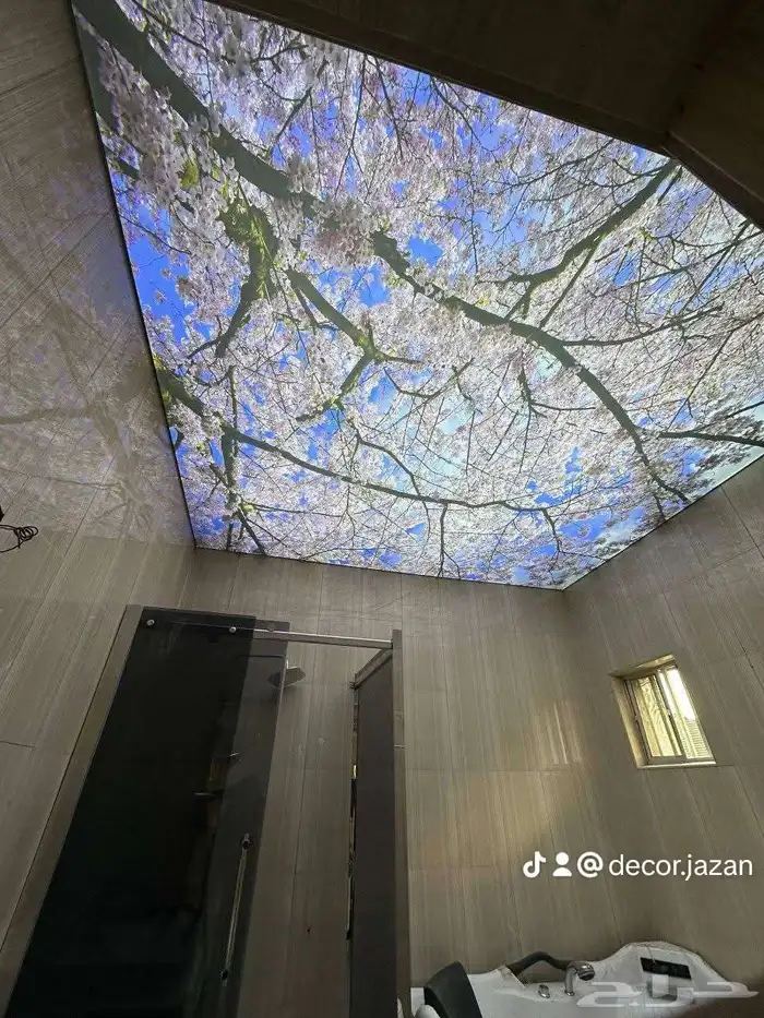 اسقف بتصاميم خيال 12