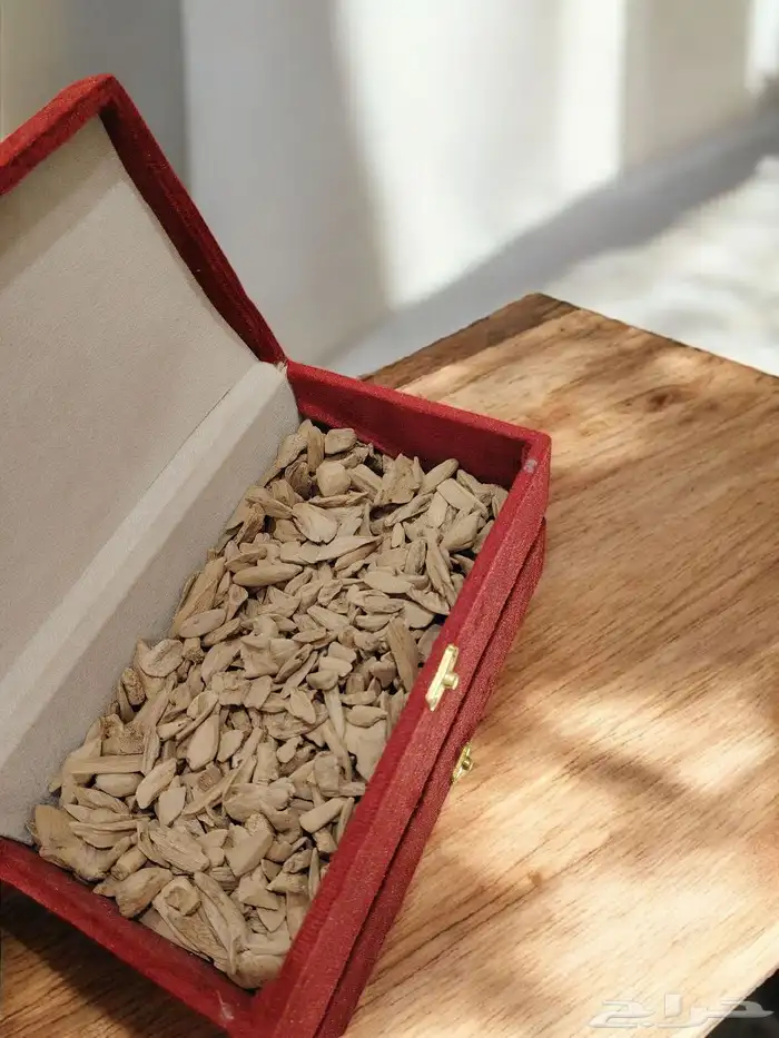 عود مروكي طبيعي 0