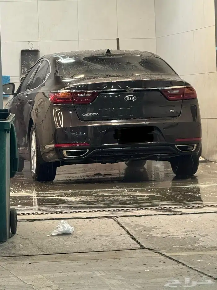 كادينزا 2019 18