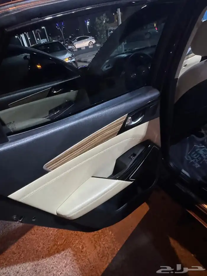 كادينزا 2019 6