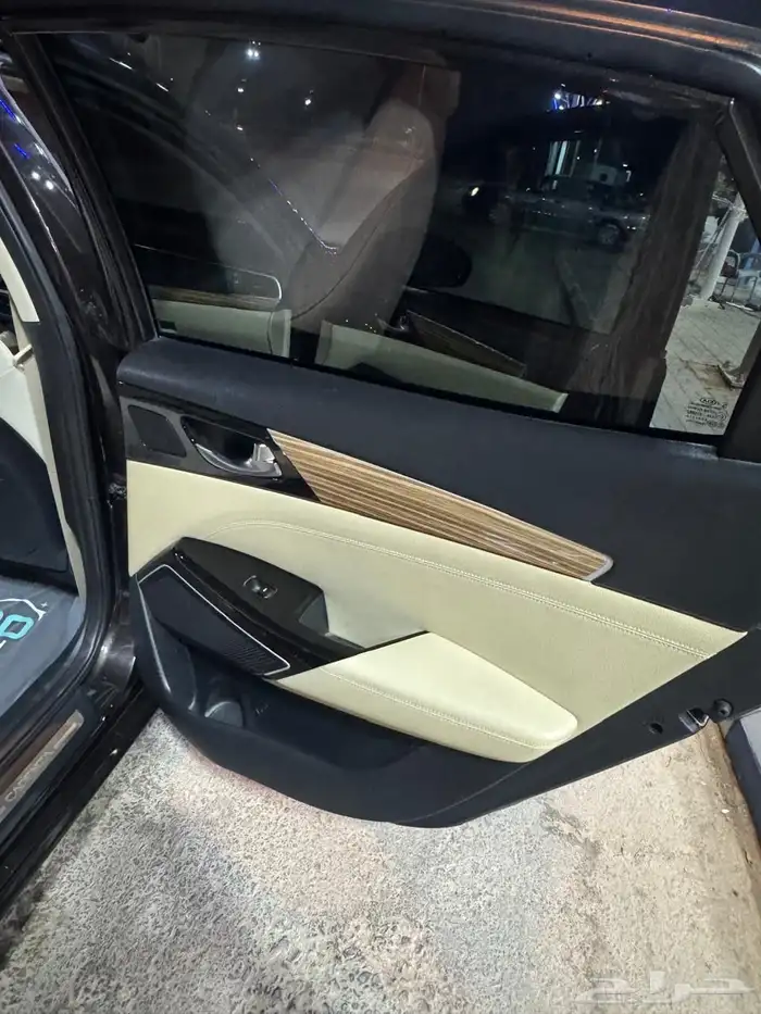 كادينزا 2019 9