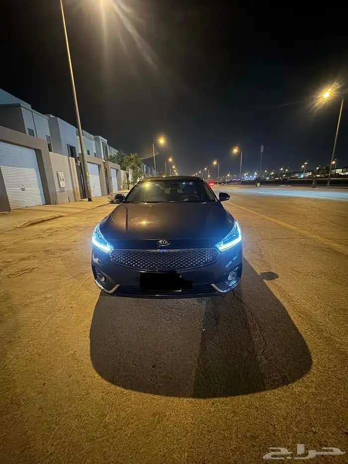 كادينزا 2019 16