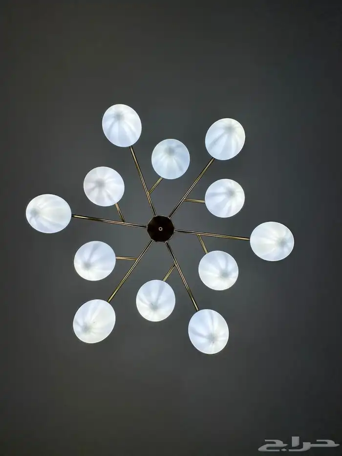 فلة فاخرة كبيرة 6