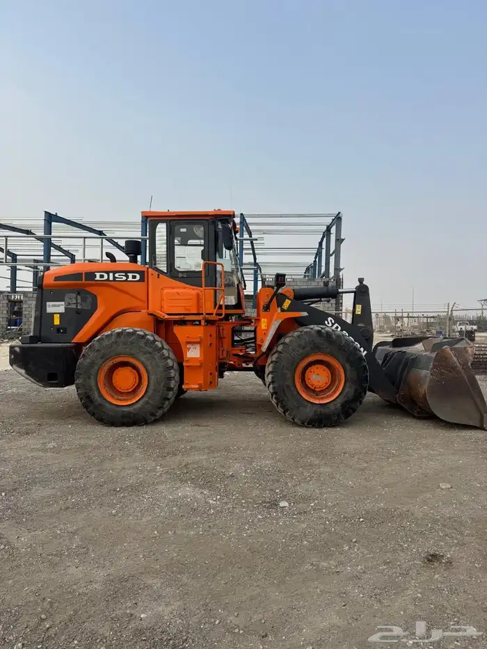 شيول للبيع 6