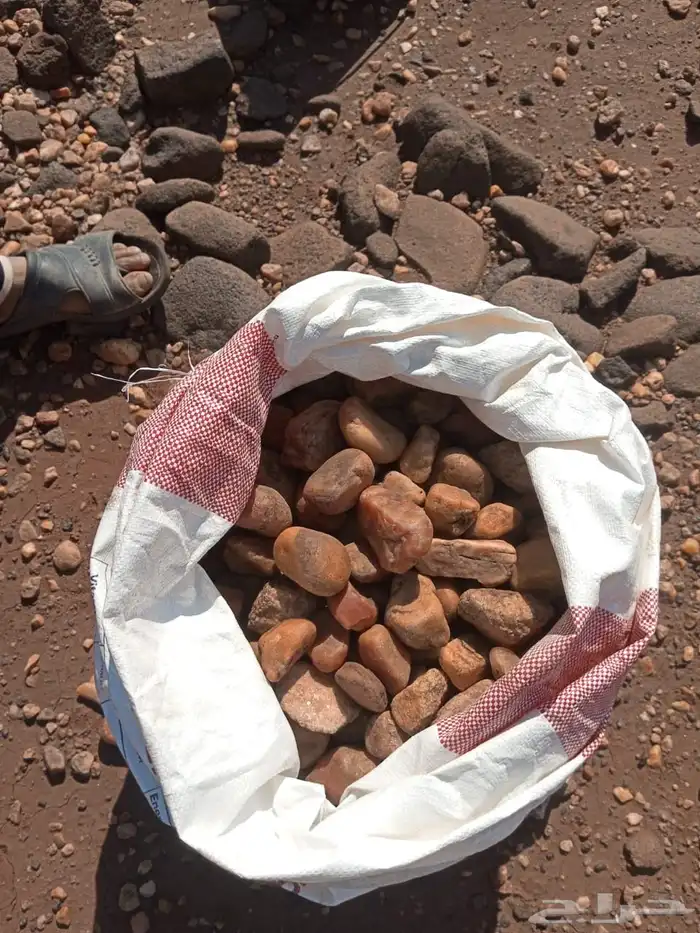 حجر زينه لاحواض الشجر مداخل أطراف مسابح 0